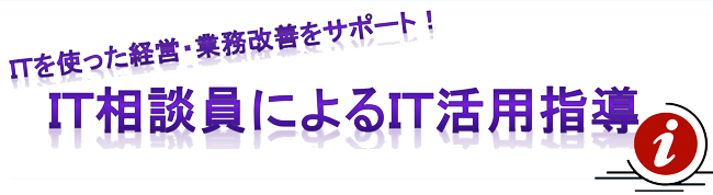 IT活用指導