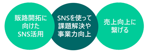 効率的に売り上げ増加につなげるSNS活用術