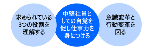 中堅社員　あなたの役割と仕事はこれだ！