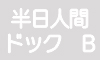 半日人間ドックB
