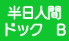 半日人間ドックB