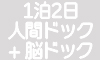 1泊2日人間ドック+脳ドック