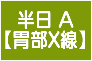 半日人間ドックA【胃部X線】