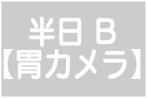 半日人間ドックB【胃カメラ】