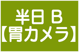 半日人間ドックB【胃カメラ】